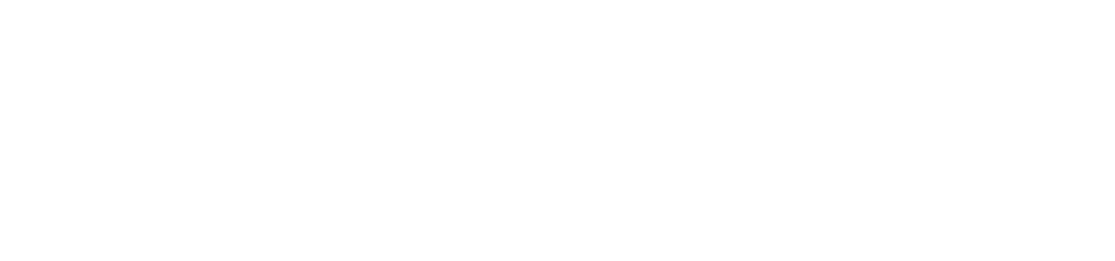 elshaheer marketing